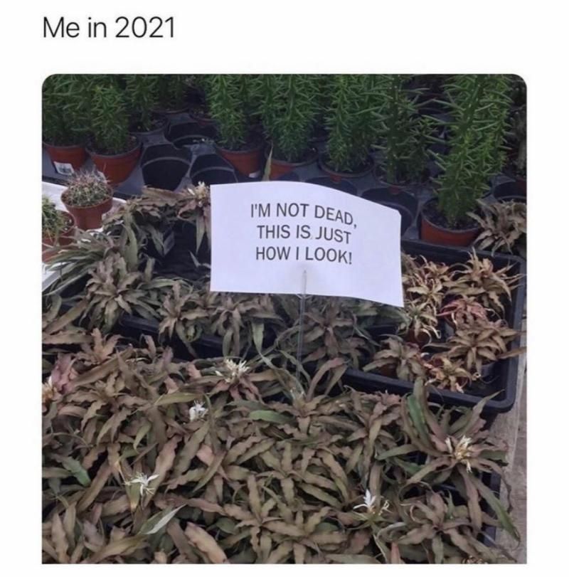 Me in 2021 IM NOT DEapy THIS IS Just HOW LOOK