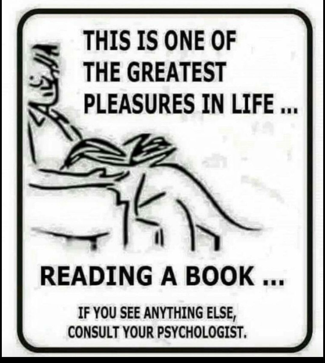 THIS IS ONE OF THE GREATEST PLEASURES IN LIFE B READING A BOOK IF YOU SEE ANYTHING ELSE CONSULT YOUR PSYCHOLOGIST