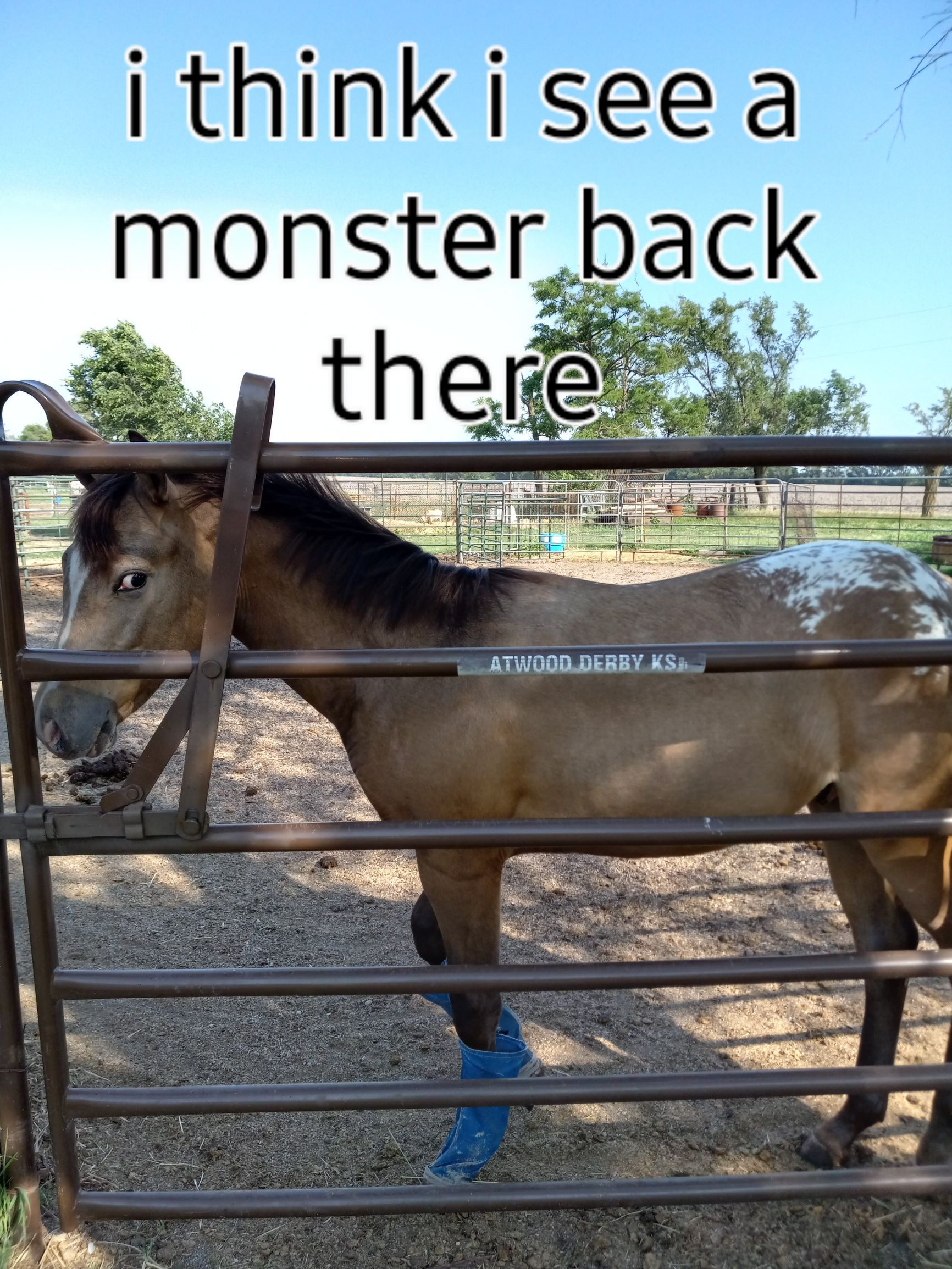 think i see a monster_ back ATWODDDERBY KS ff P