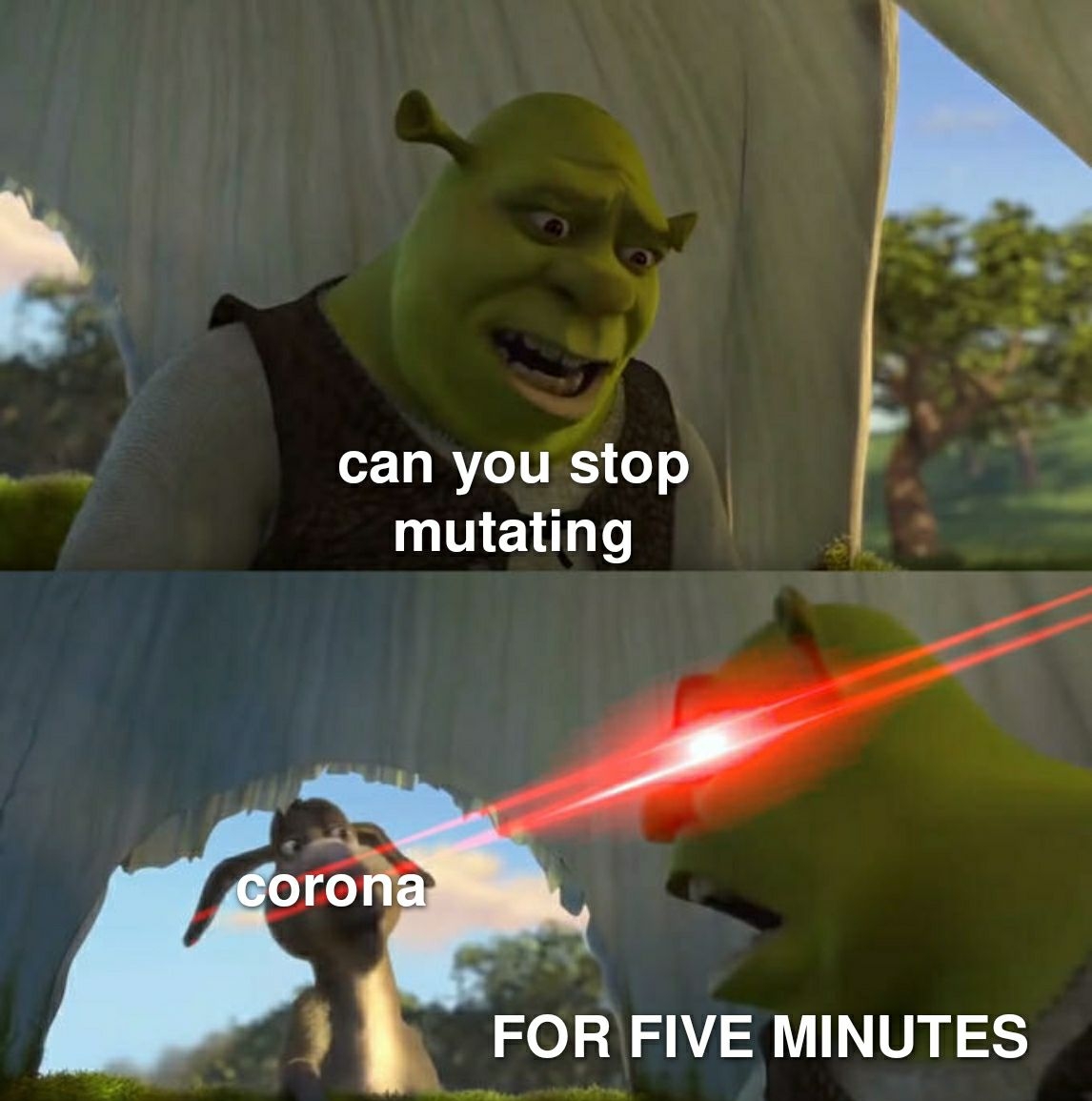 To MY 1V I o o mutating FOR FIVE MINUTES