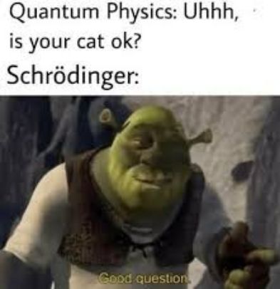 Quantum Physics Uhhh is your cat ok Schrdinger b 4