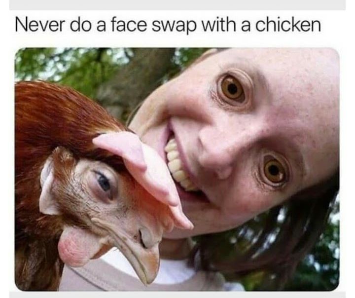 Never do a face swap with a chicken e O