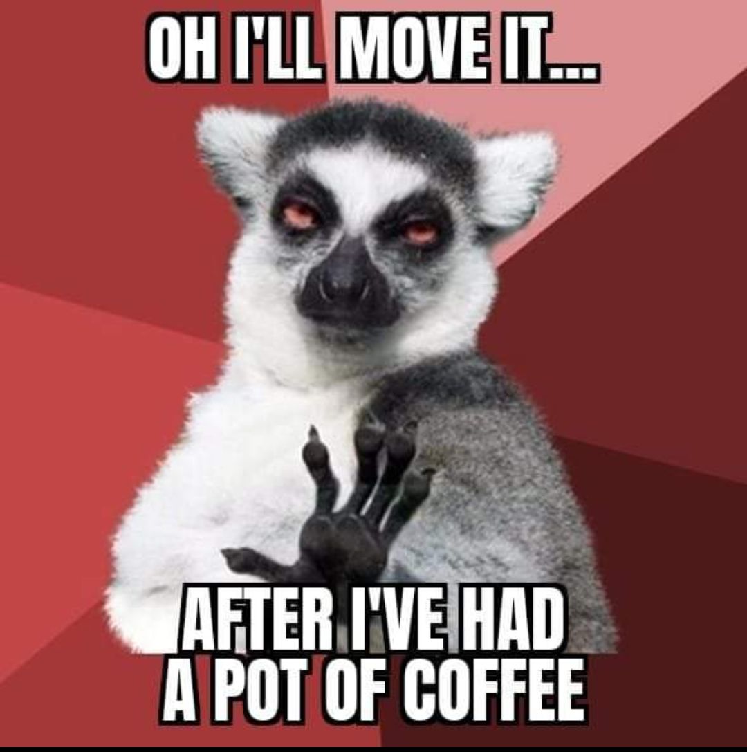 AFTERIVEHAD 1 POTOF COFFEE