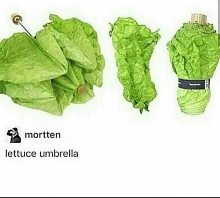 lettuce umbrella