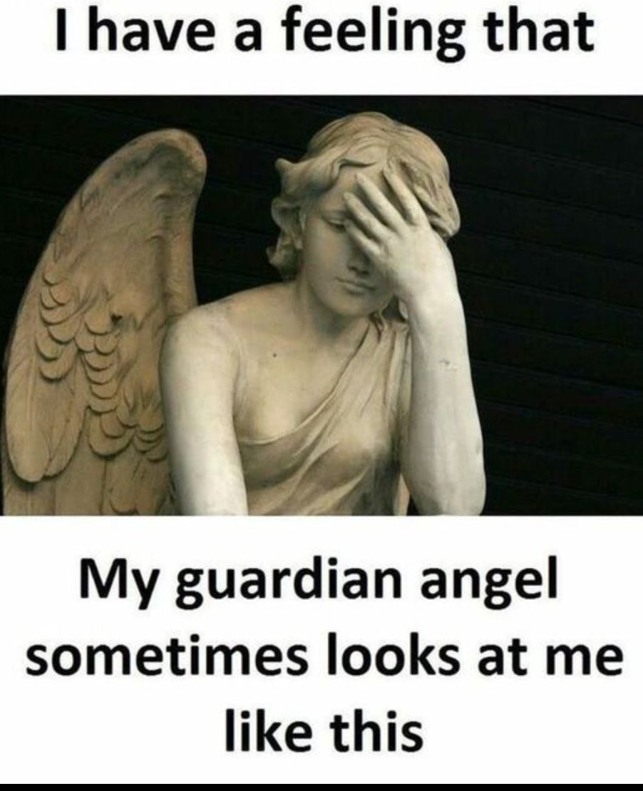 have a feeling that My guardian angel sometimes looks at me like this