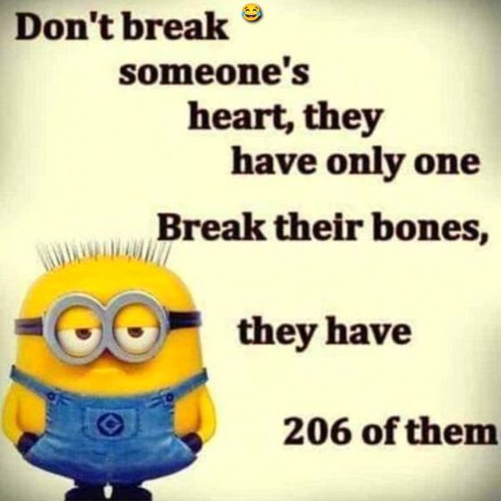 Dontbreak 9 someones heart they have only one Break their bones they have 206 of them v