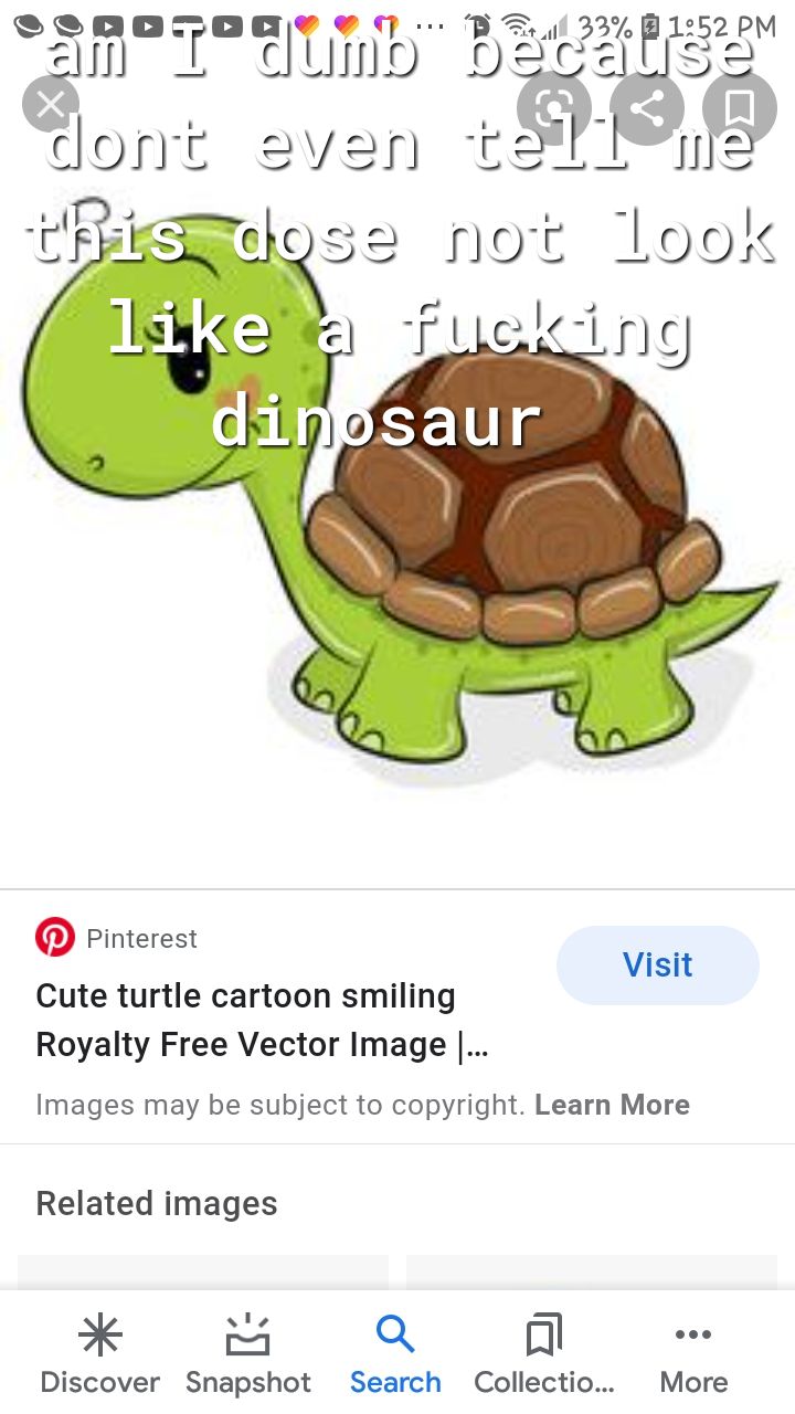 22 1252 PM Mo DECHIES Pinterest Cute turtle cartoon smiling Royalty Free Vector Image Visit Images may be subject to copyright Learn More Related images a Discover Snapshot Search Collectio More