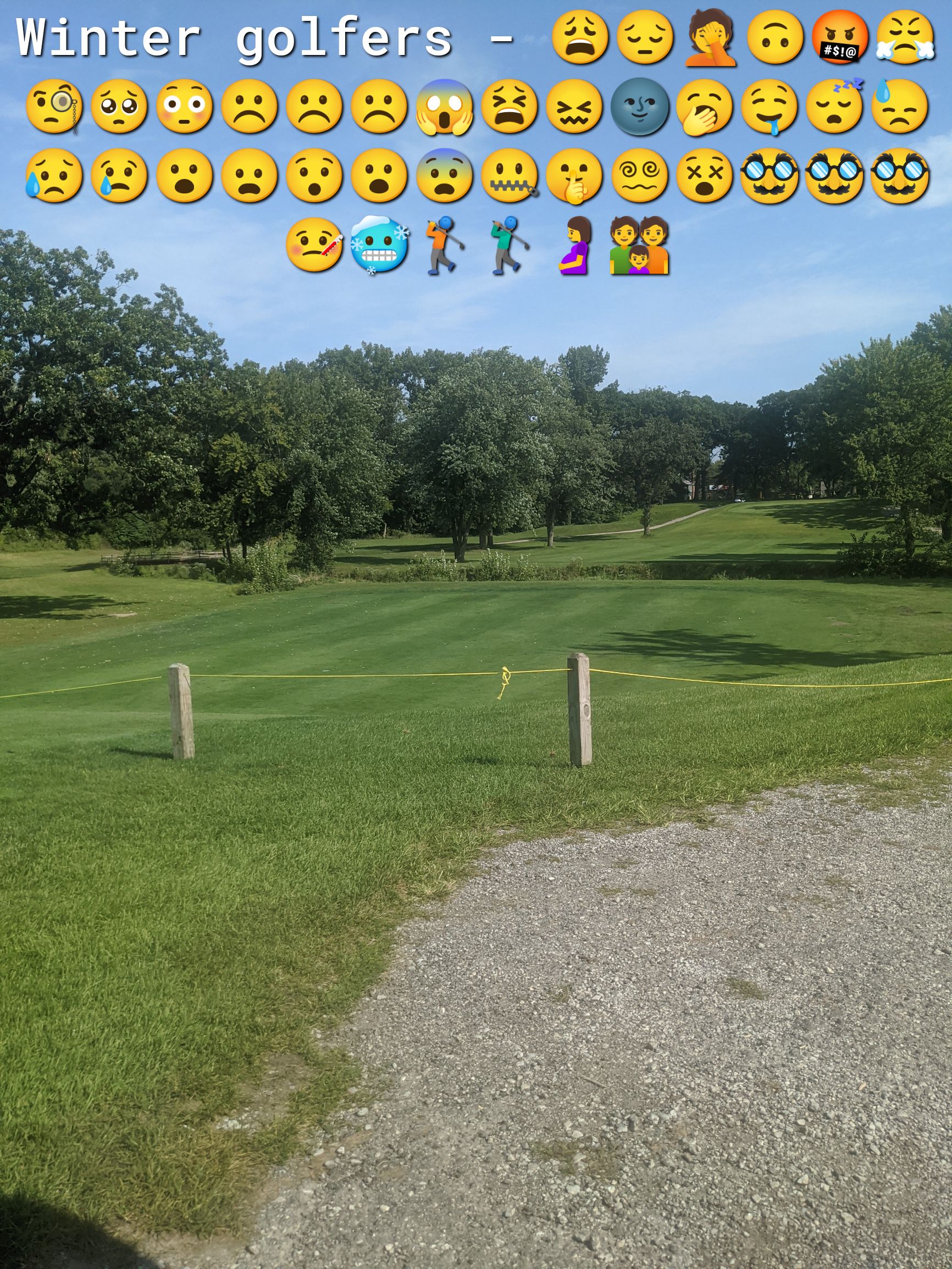 linter golfers 9 RNR R D D 8 Y DD DVVY ottt 18 b A