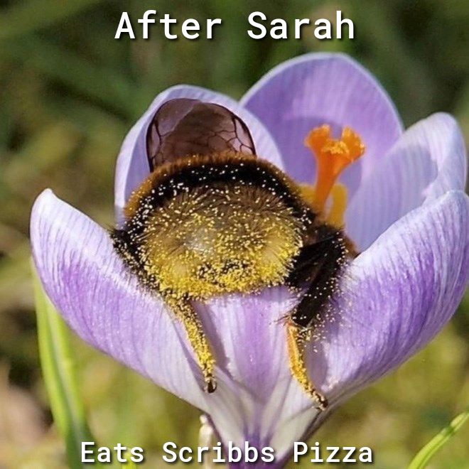 After Sarah
