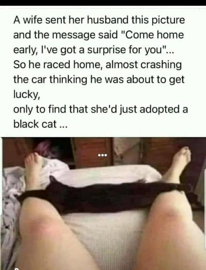 A wife sent her husband this picture and the message said Come home early Ive got a surprise for you So he raced home almost crashing the car thinking he was about to get lucky only to find that shed just adopted a black cat
