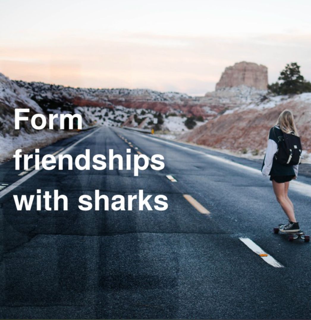 frldshlps with sharks