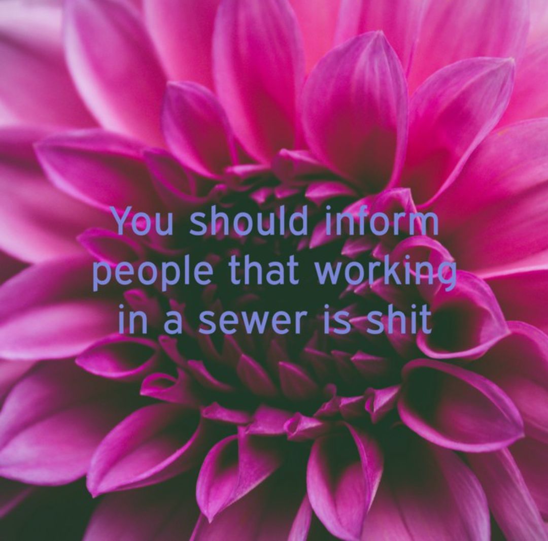 B N Yeu should r1104n people that workmb in sewer is shit B f