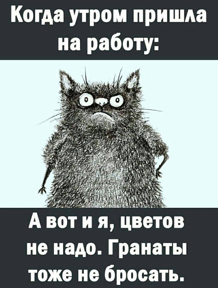 Когда утром пришла на работу НАН А вотия цветов не надо Гранаты тоже не бросать