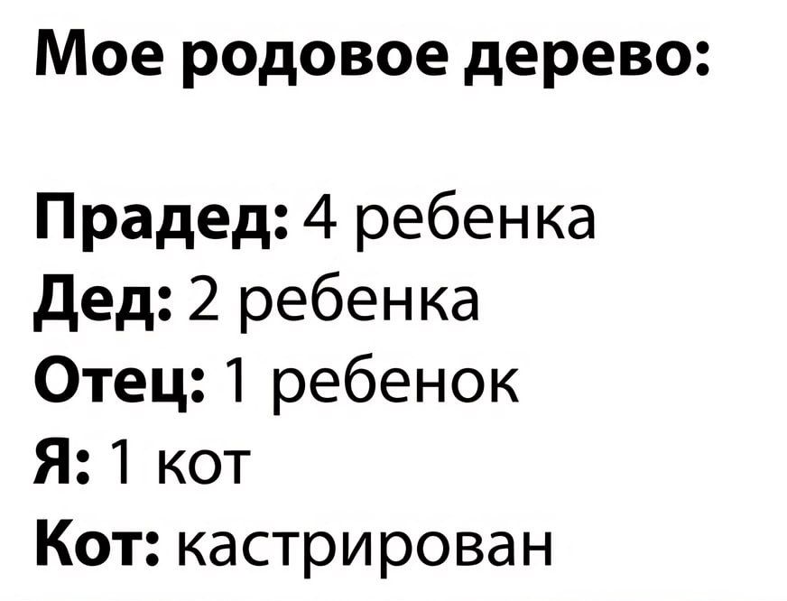 Мое родовое дерево Прадед 4 ребенка Дед 2 ребенка Отец 1 ребенок Я 1 кот Кот кастрирован