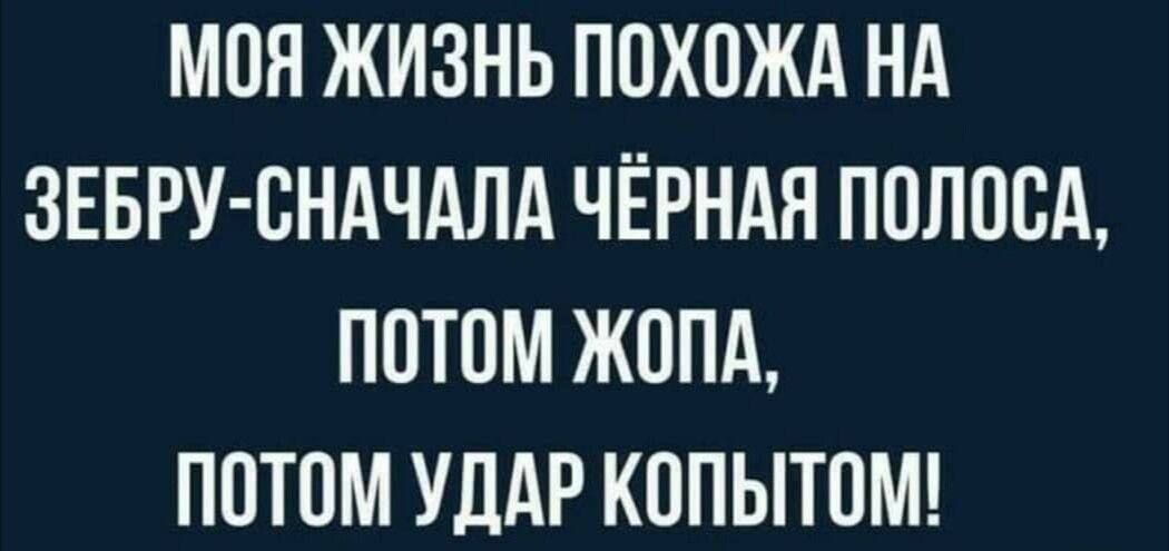 МОЯ ЖИЗНЬ ПОХОЖА НА ЗЕБРУ СНАЧАЛА ЧЁРНАЯ ПОЛОСА ПОТОМ ЖОПА ПОТОМ УДАР КОПЫТОМ