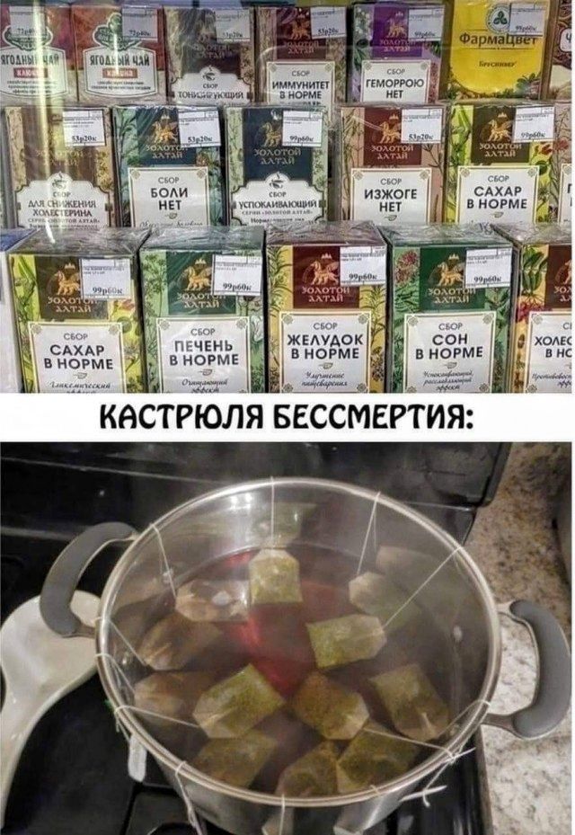 желудок сон З НОРМе Й в НОРМЕ