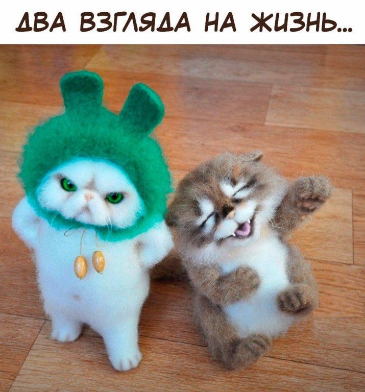 АВА ВЗГЛЯДА НА ЖИЗНЬ