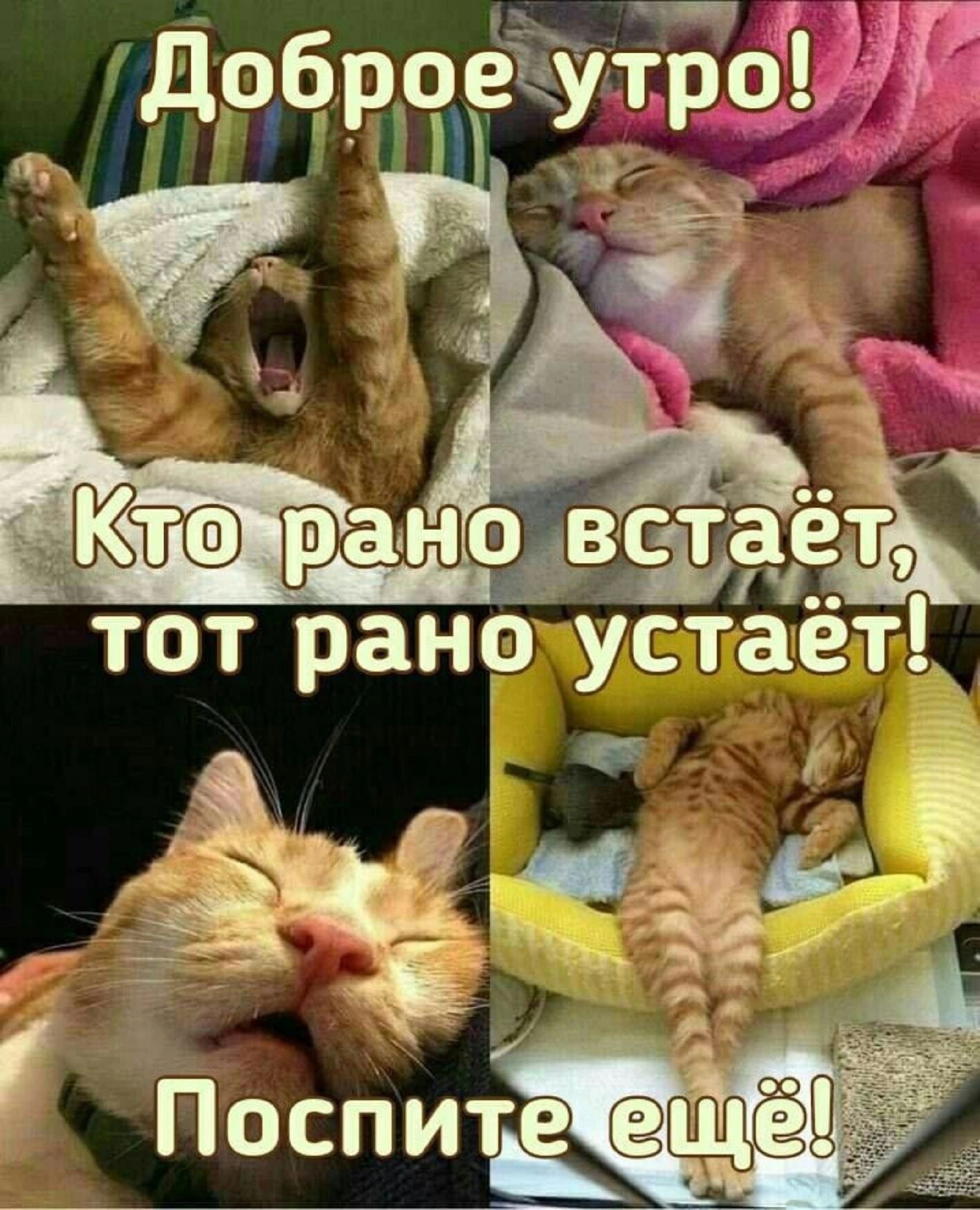 Че ь ооы брое до РР и тот рано устает