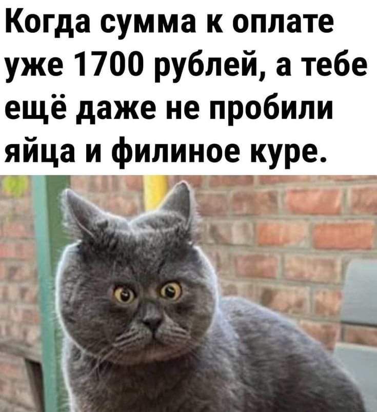 Когда сумма к оплате уже 1700 рублей а тебе ещё даже не пробили яйца и филиное куре ъ 0