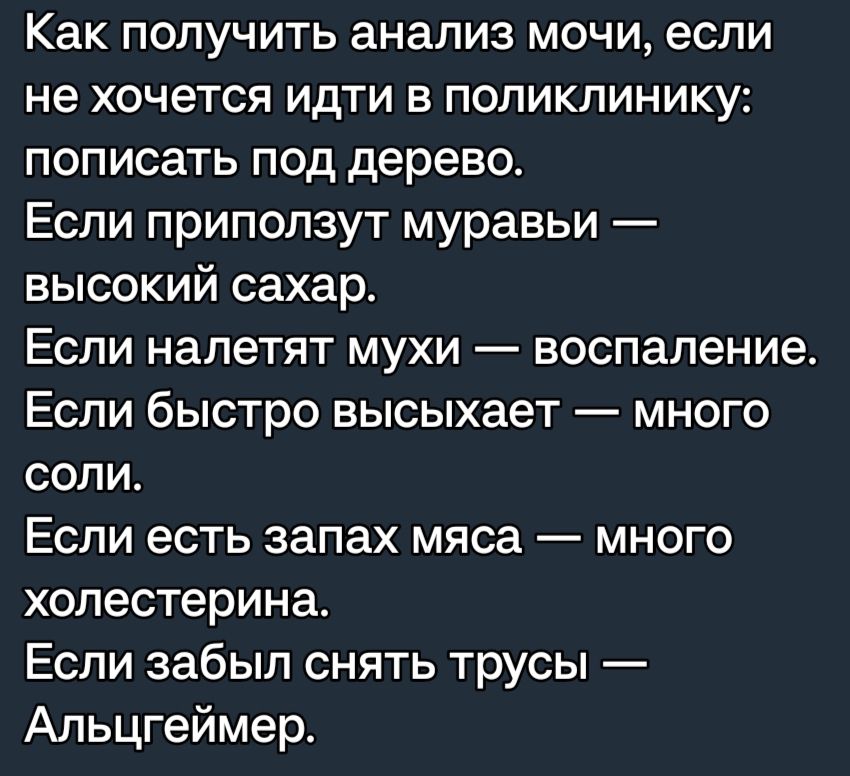 Как получить анализ мочи если не хочется идти в поликлинику пописать под дерево Если приползут муравьи высокий сахар Если налетят мухи воспаление Если быстро высыхает много соли Если есть запах мяса много холестерина Если забыл снять трусы Альцгеймер