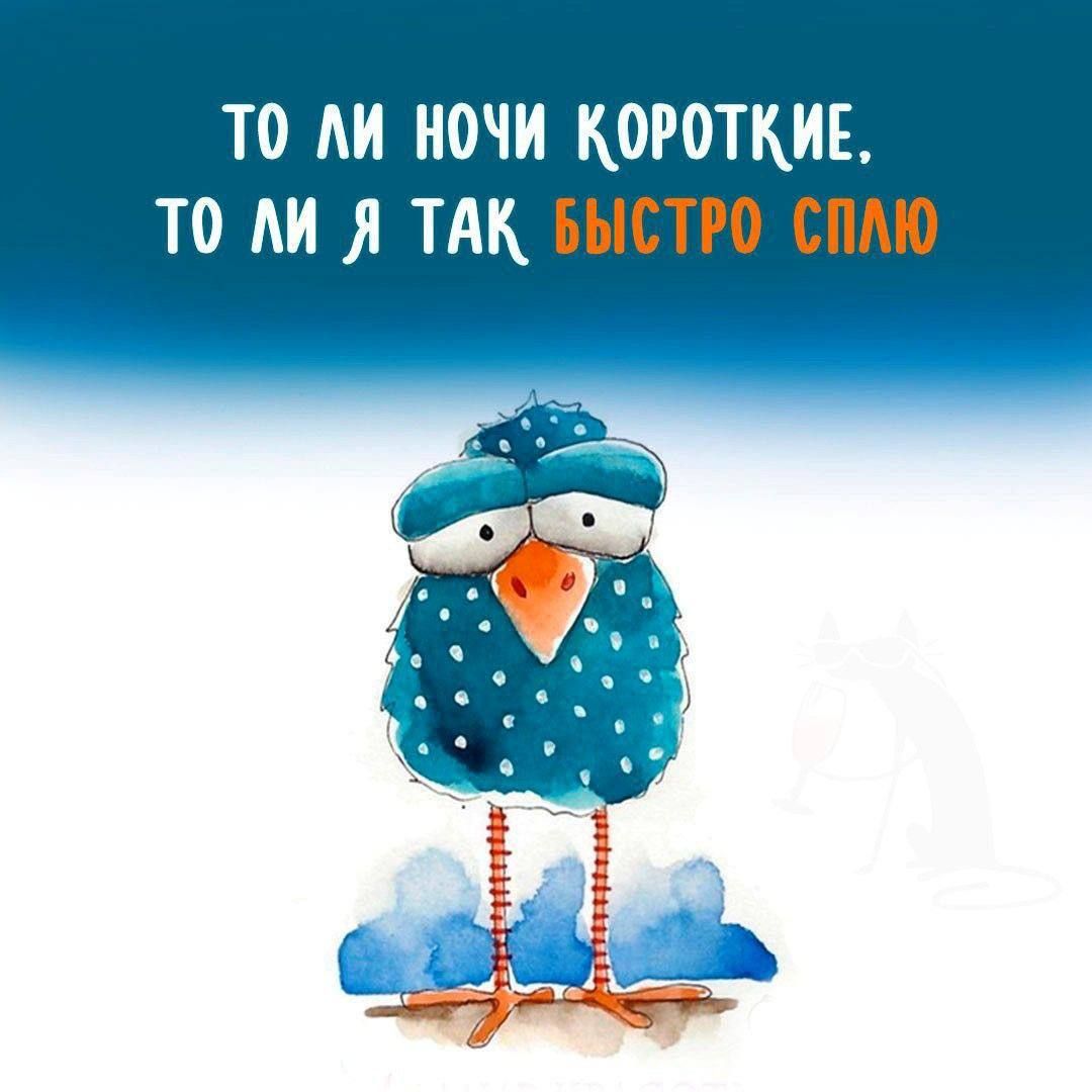 ТО ЛИ НОЧИ КОРОТКИЕ ТО ЛИ Я ТАК