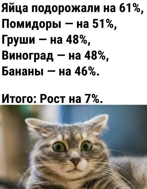 Яйца подорожали на 61 Помидоры на 51 Груши на 48 Виноград на 48 Бананы на 46 Итого Рост на 7