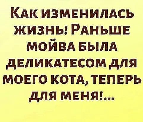 КАК иИЗМЕНИЛАСЬ жизньы РАНЬШЕ МОЙВА БЫЛА ДЕЛИКАТЕСОМ ДЛЯ МОЕГО КОТА ТЕПЕРЬ ДЛЯ МЕНЯ