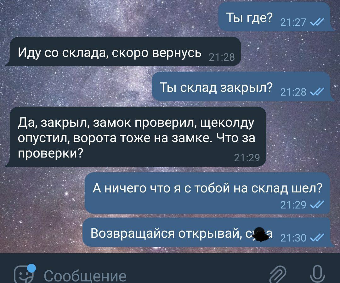 Да закрыл замок проверил щеколду опустил ворота тоже на замке Что за проверки 2129 Сообщение