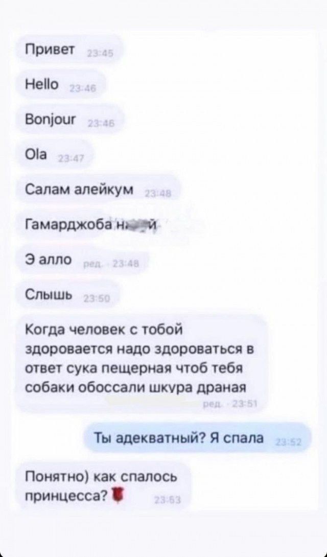 Привет Нейо Вопочг Оа Салам алейкум Гамарджоба наитй Э алло Слышь Когда человек с тобой здоровается надо здороваться в ответ сука пещерная чтоб тебя собаки обоссали шкура драная Ты адекватный Я спала Понятно как спалось принцесса