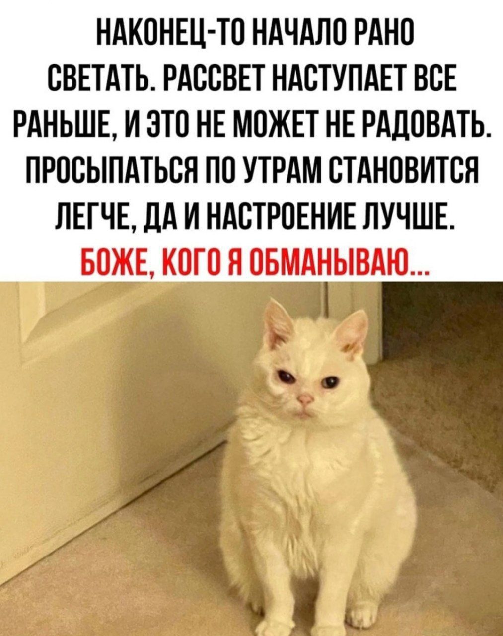 НАКОНЕЦ ТО НАЧАЛО РАНО СВЕТАТЬ РАССВЕТ НАСТУПАЕТ ВСЕ РАНЬШЕ И ЭТО НЕ МОЖЕТ НЕ РАДОВАТЬ ПРОСЫПАТЬСЯ ПО УТРАМ СТАНОВИТСЯ ЛЕГЧЕ ДА И НАСТРОЕНИЕ ЛУЧШЕ