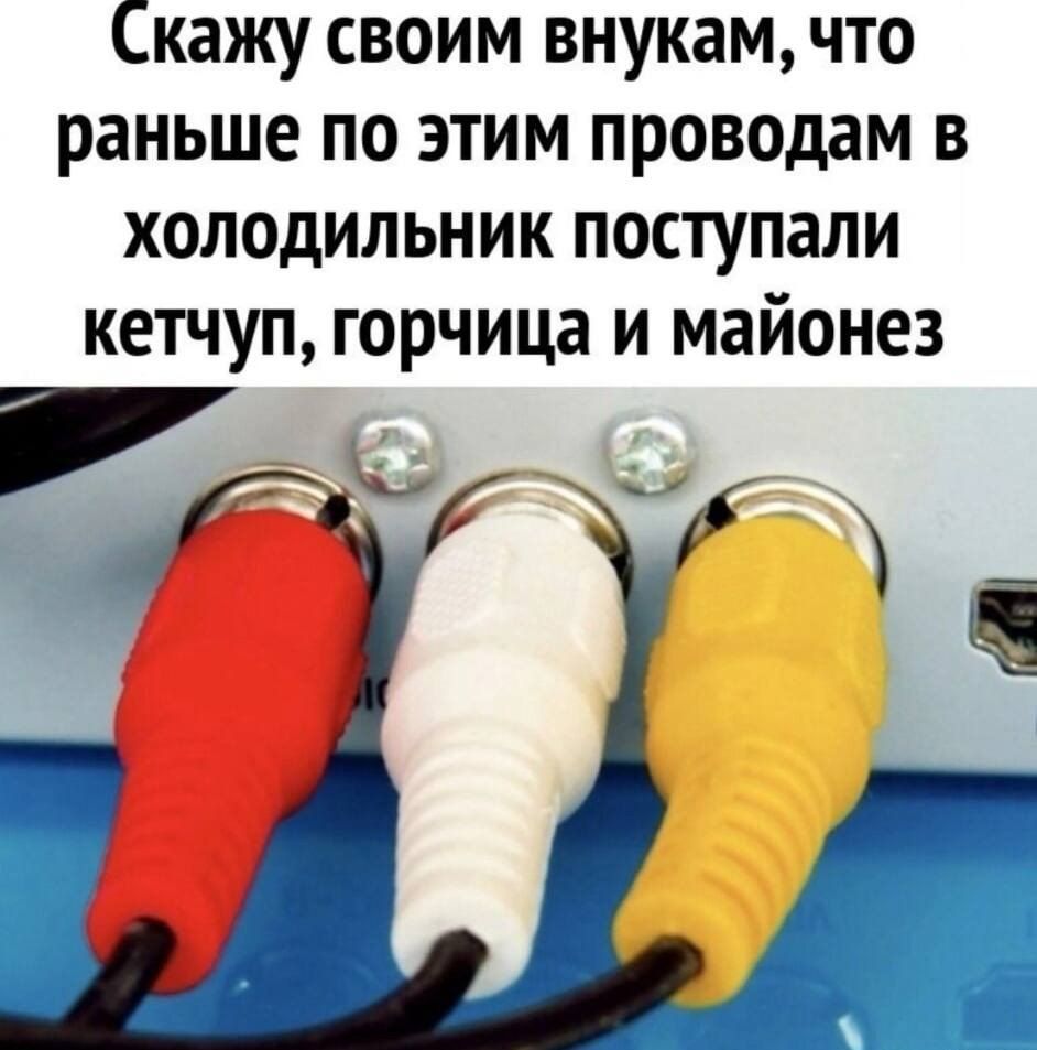 Скажу своим внукам что раньше по этим проводам в холодильник поступали кетчуп горчица и майонез щ