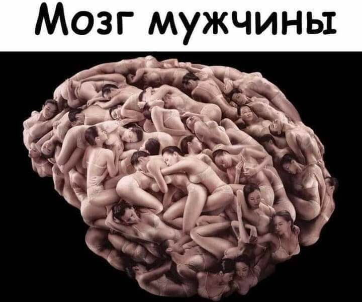 Мозг мужчины