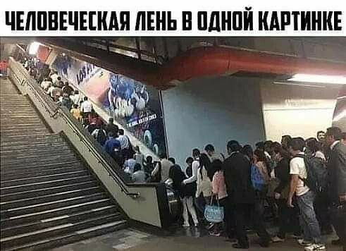 ЧЕШВЕЧЕШАП ЛЕНЬ В ОДНОЙ КАРТИНКЕ