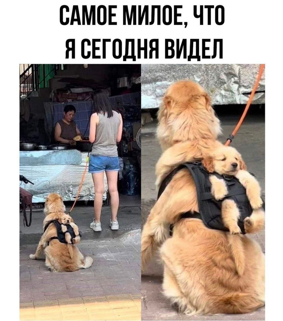 САМОЕ МИЛОЕ ЧТО