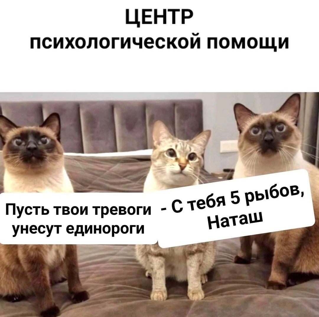 ЦЕНТР психологической помощи стебя 5 рыбов Пусть твои тревоги нНатам унесут единороги