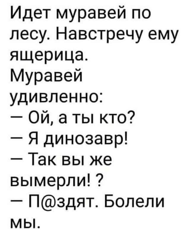 Идет муравей по лесу Навстречу ему ящерица Муравей удивленно Ой а ты кто Я динозавр Так вы же вымерли Пздят Болели мЫ