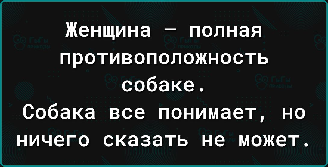 Женщина полная противоположность собаке Собака все понимает но ничего сказать не может