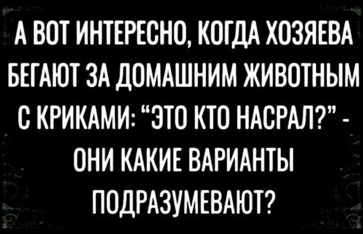 АВОТ ИНТЕРЕСНО КОГДА ХОЗЯЕВА БЕГАЮТ ЗА ДОМАШНИМ ЖИВОТНЫМ С КРИКАМИ ЭТО КТО НАСРАЛ ОНИ КАКИЕ ВАРИАНТЫ ПОДРАЗУМЕВАЮТ