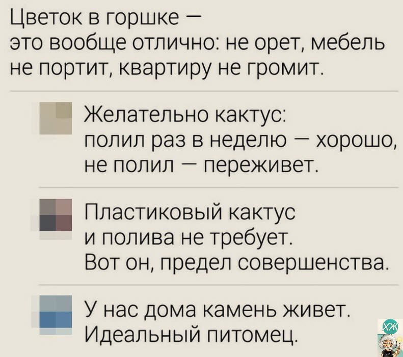 Цветок в горшке это вообще отлично не орет мебель не портит квартиру не громит Ш Желательно кактус полил раз в неделю хорошо не полил переживет Пластиковый кактус и полива не требует Вот он предел совершенства У нас дома камень живет Идеальный питомец Ё