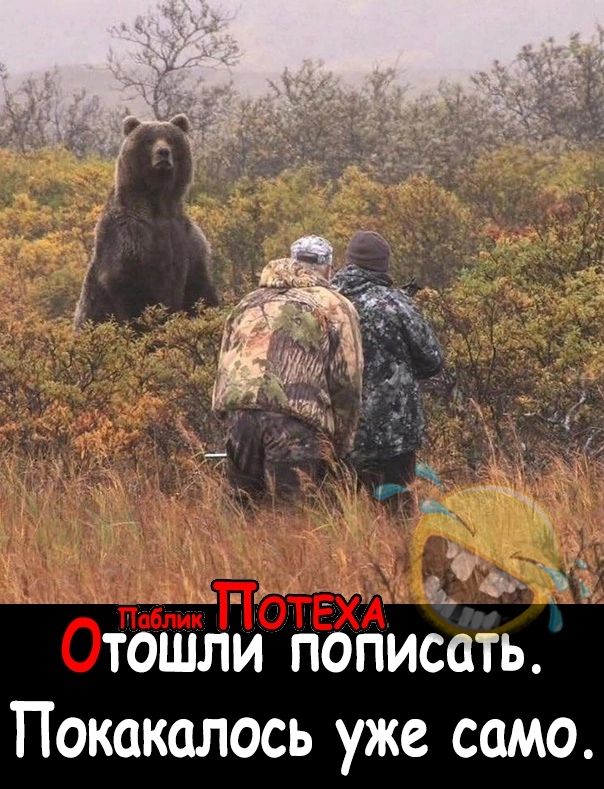 ь тошли пописать Покакалось уже само