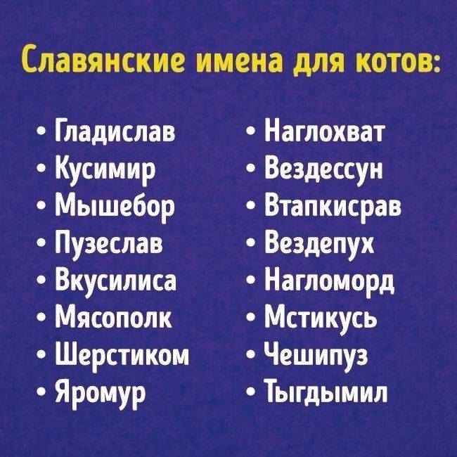 Славянские имена для котов Гладислав Кусимир Мышебор Пузеслав Вкусилиса Мясополк Шерстиком Яромур Наглохват Вездессун Втапкисрав Вездепух Нагломорд Мстикусь Чешипуз Тыгдымил