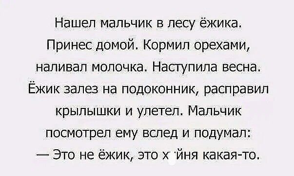 Нашел мальчик в лесу ёжика Принес домой Кормил орехами наливал молочка Наступила весна ЕЁжик залез на подоконник расправил крылышки и улетел Мальчик посмотрел ему вслед и подумал Это не ёжик это х йня какая то