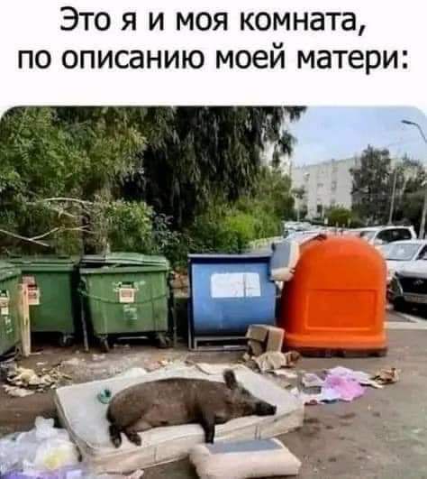 Это я и моя комната по описанию моей матери