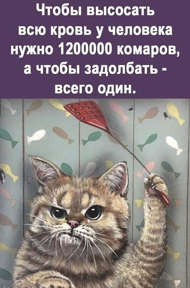 Чтобы высосать всю кровь у человека нужно 1200000 комаров а чтобы задолбать всего одИН