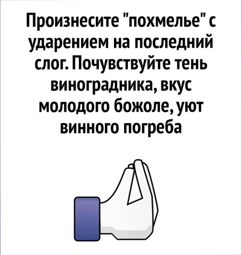 Произнесите похмелье с ударением на последний слог Почувствуйте тень виноградника вкус молодого божоле уют винного погреба