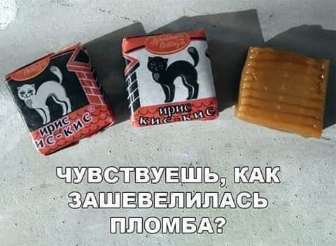 Ё КА ШЫЁЁШШШЩЬ и ПИПЛОМБА