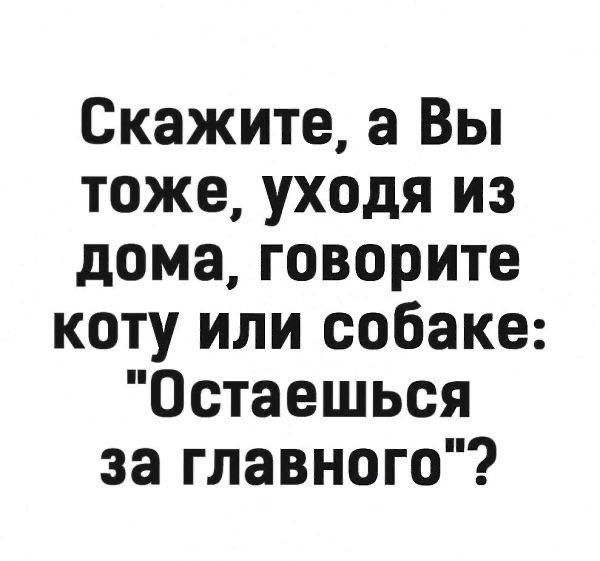 Скажите а Вы тоже уходя из дома говорите коту или собаке Остаешься за главного