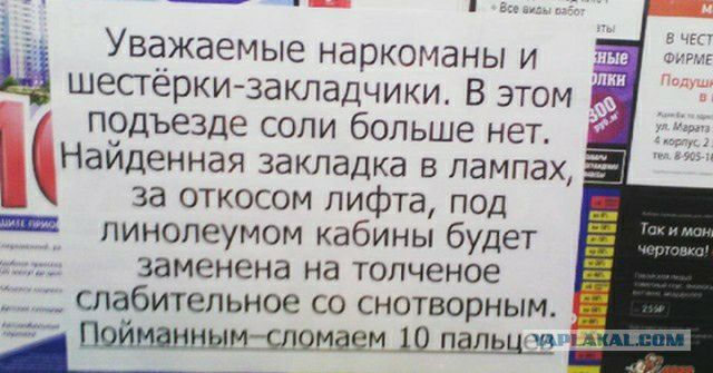 Уважаемые наркоманы и шестёерки закладчики В этом подъезде соли больше нет КНаиденная закладка в лампах Н за откосом лифта под е линолеумом кабины будет заменена на толченое слабительное со снотворным Пойманным сломаем 10 пальцся