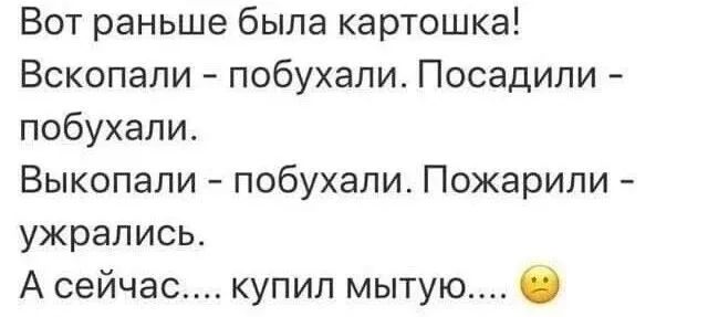 Вот раньше была картошка Вскопали побухали Посадили побухали Выкопали побухали Пожарили ужрались А сейчас купил мытую