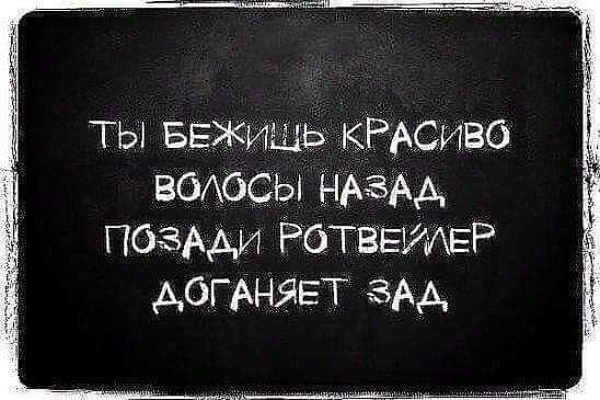 ТЫ БЕЖИЩЬ КРАСИВО ВОЛОСЫ НАЗАД ПОЗАДИ РОТВЕЙЛЕР ДОГАНЯЕТ ЗАД